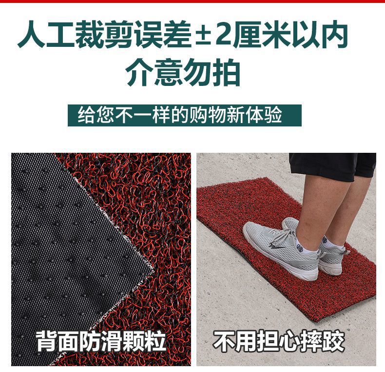 Entrance door mat with silk loops, non-slip entryway mat, bathroom and toilet foot mat, living room door mat, car floor mat
