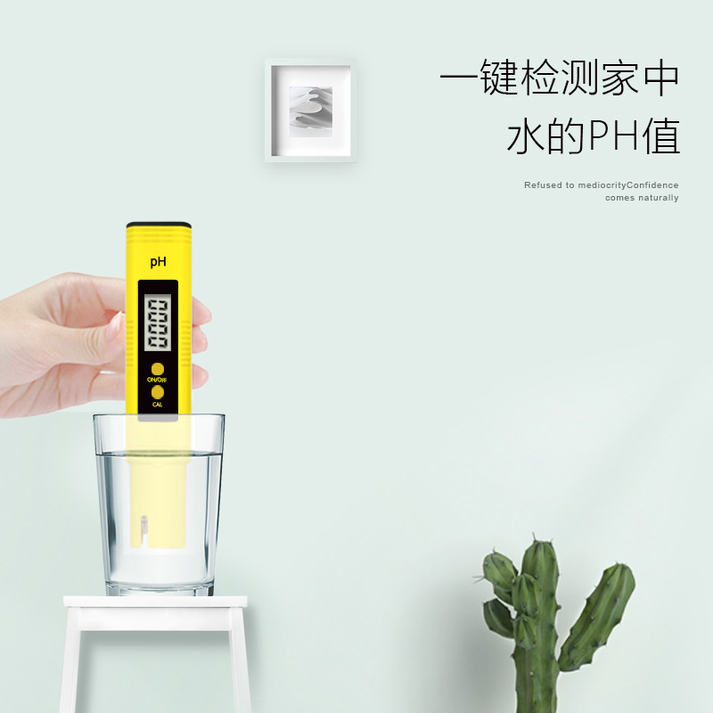 水质检测 ph-02pH计笔4