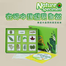 儿童科普教学认知益智玩具昆虫海洋动物植物生长实物包埋树脂标本