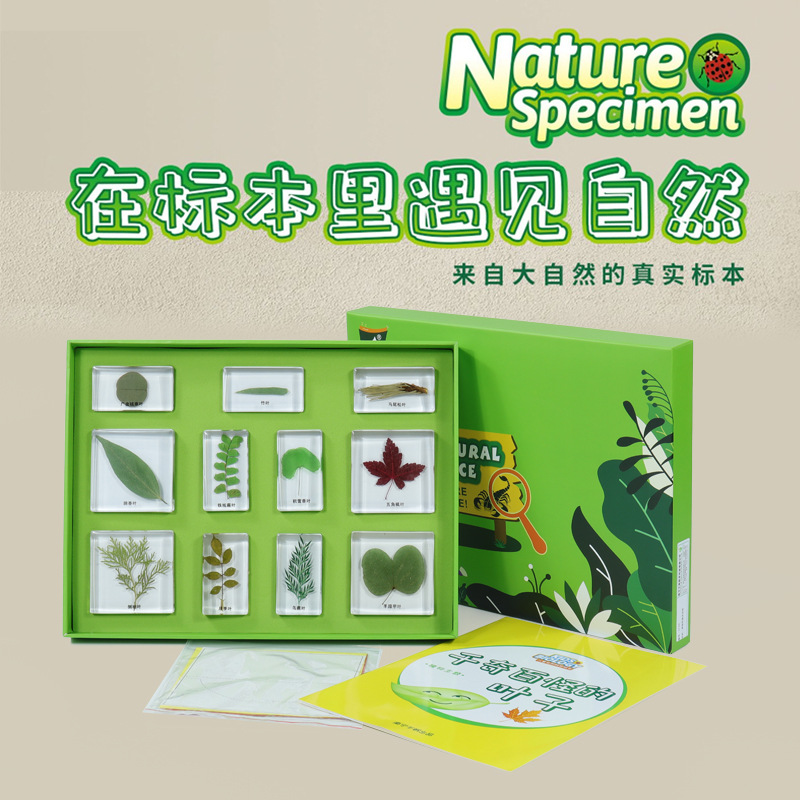 儿童科普教学认知益智玩具昆虫海洋动物植物生长实物包埋树脂标本