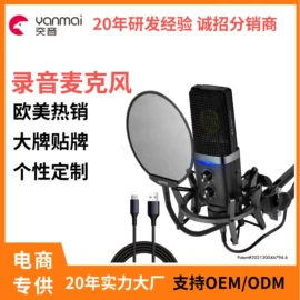 麦克风/话筒;影音电器配件;扩音器