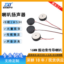 �S�ҬF؛16mm��ӹǂ�������8�W1W�{�����C�P����߰���������
