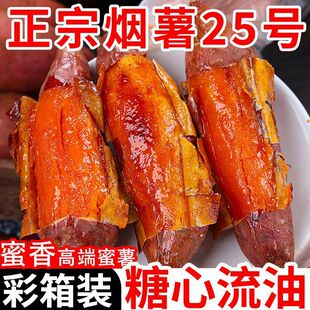 ����25̖���rɳ�جF�ڼt���t��������������������һ�������l���]
