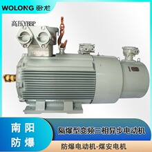 卧龙南阳防爆YBBP-400-6/630kW6000V高压变频控制防爆电机高压风