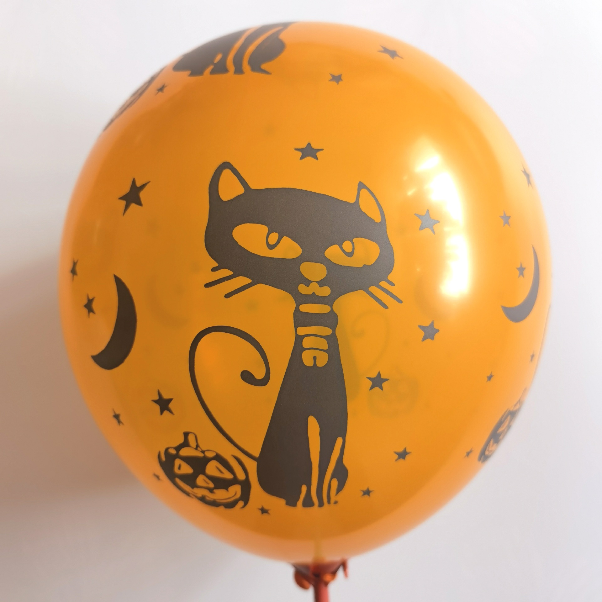 IMG_20220509_122044_edit_25087