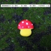 Mushroom pedal