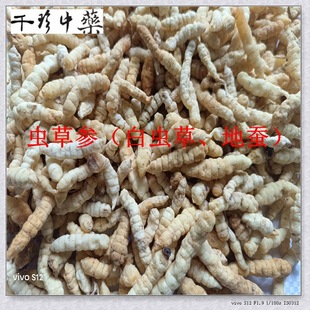 ǧ����ș�Ƽ���ș��ԭ�����l �x�݅� ���x�� �����x�Ĳݵ��Q500��