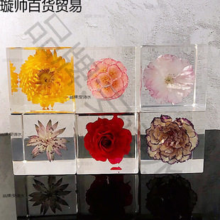 Sakura Specimen Gift Dandelion Resin Specimen Ornaments Peach Blossom Red Eternal Creative Mobile Phone Case Kindergarten Handmade