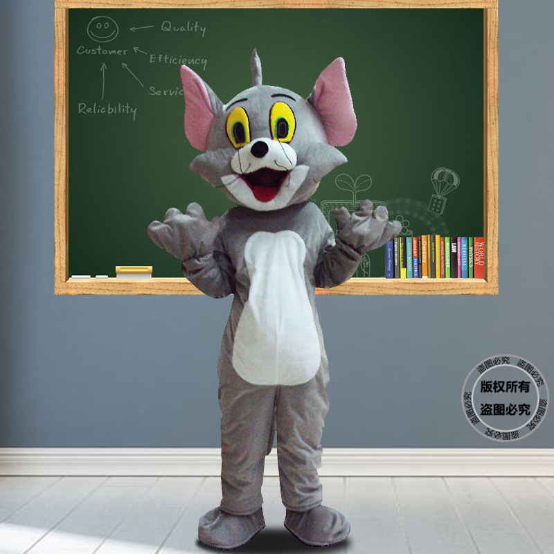 Gray cat