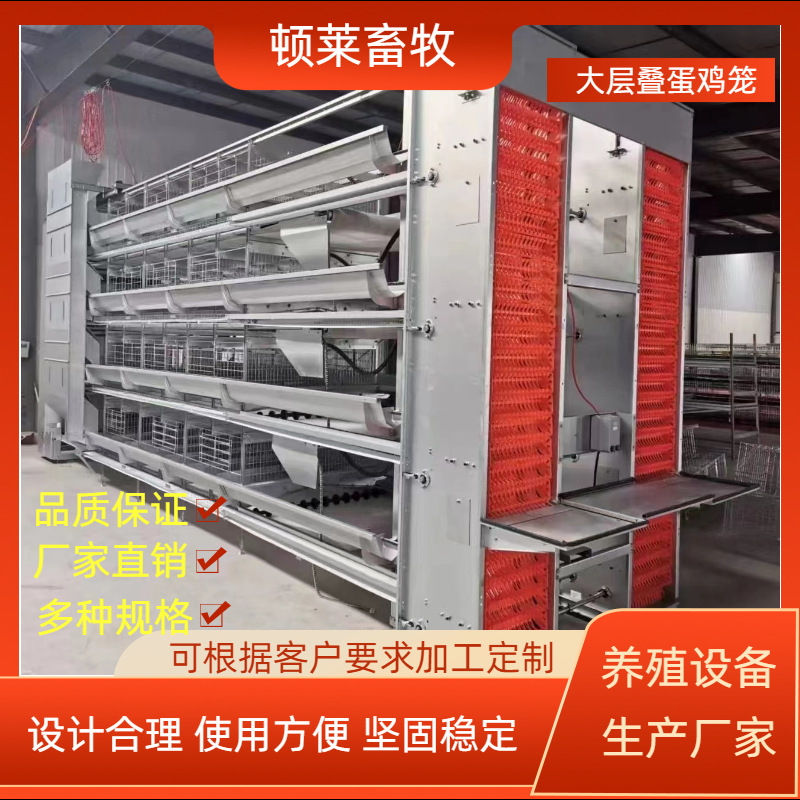 大层叠蛋鸡设备加密加粗自动化养殖笼具热镀锌蛋鸡笼加粗加密鸡笼