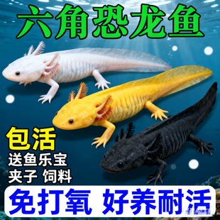 ���ǿ����^�p�~ϔ���ˮ��ˮ��ˮ�~���~�W�t�����ԁ�ˮ���B�ͻ�