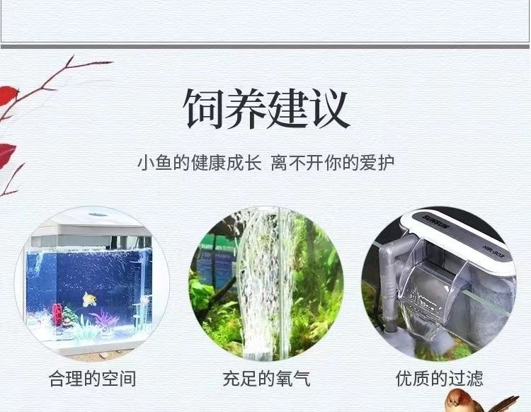 4fe429ff-8a7e-4fd3-941b-02b58c3e300f.jpe
