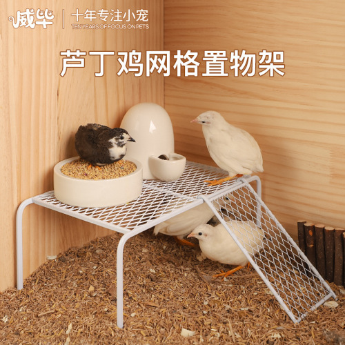 Luding chicken landscaping platform with feeder, kettle, ladder, Luding chicken breeding supplies, grid storage shelf wholesale