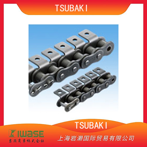 TSUBAKI椿本，带附件RS型链