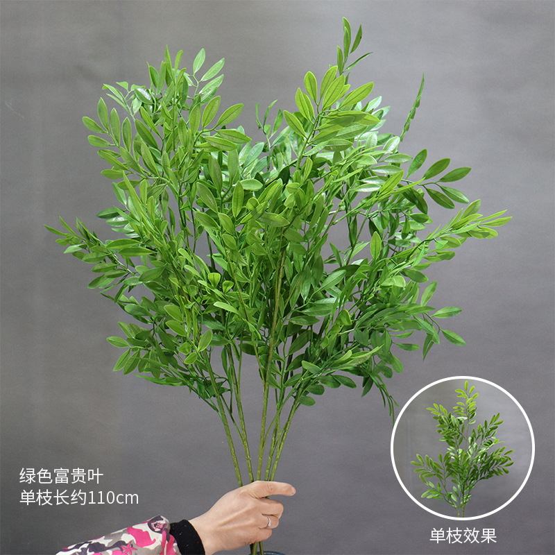 녹색 풍부한 잎