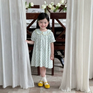 2026夏季新款 韩版童装 女童刺绣花朵娃娃领泡泡袖裙公主裙连衣裙