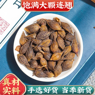 ����Ԫ �B�N��ș����؛���N�B�N�S�N���N�B�N�۽��y���S��