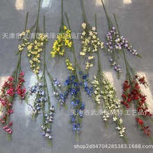 ¿WʽD÷÷cb廨ʽҾOӋٻ