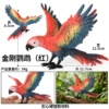 HFM spread-winged macaw (red and blue)