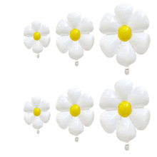 �¿�ins�L�u�������껨��ɫ����С�r�ջ������ �Ɍ��bՇ�����