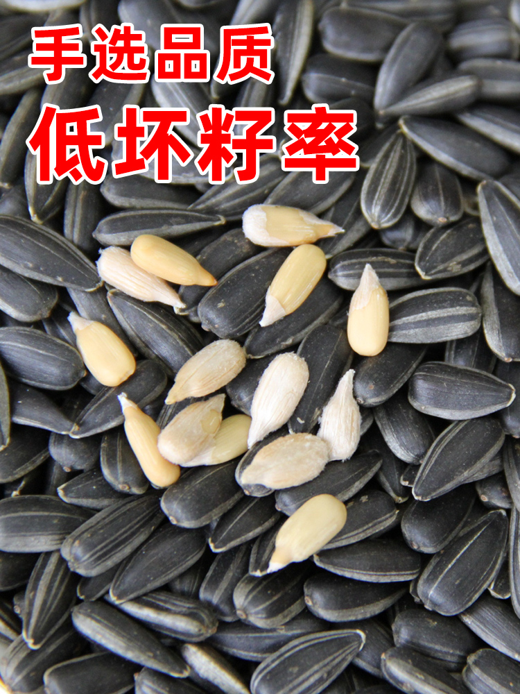 油葵小瓜子黑珍珠生瓜子葵花籽奶油味新货炒货熟毛嗑原味零食袋