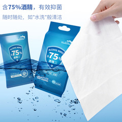 75% Alcohol Wet Wipes Wholesale Antibacterial Hygienic Portable Single-Use Disinfectant Wet Tissues 10 Pcs Pack