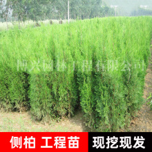 lȰļػ쾰ֲ@ֵ·̾GA،