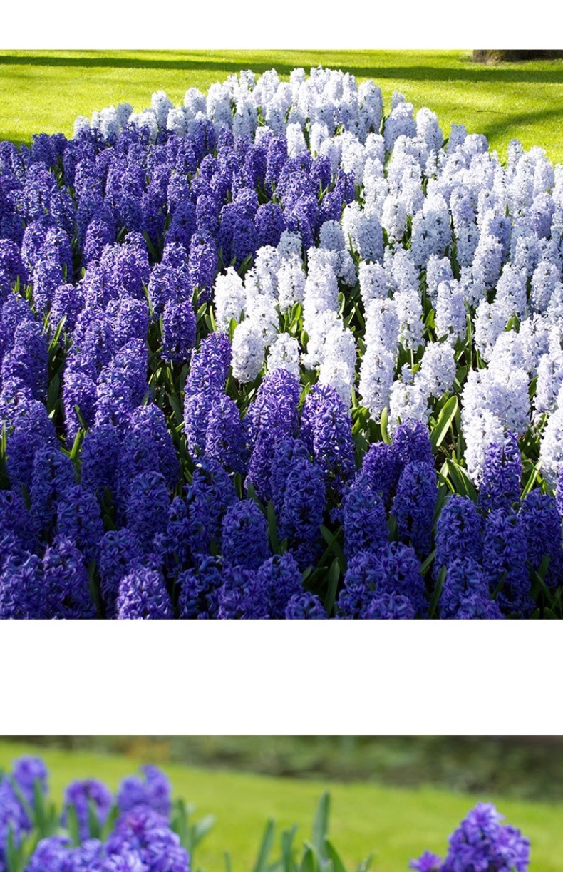 YJH_一键复制_20240722221433