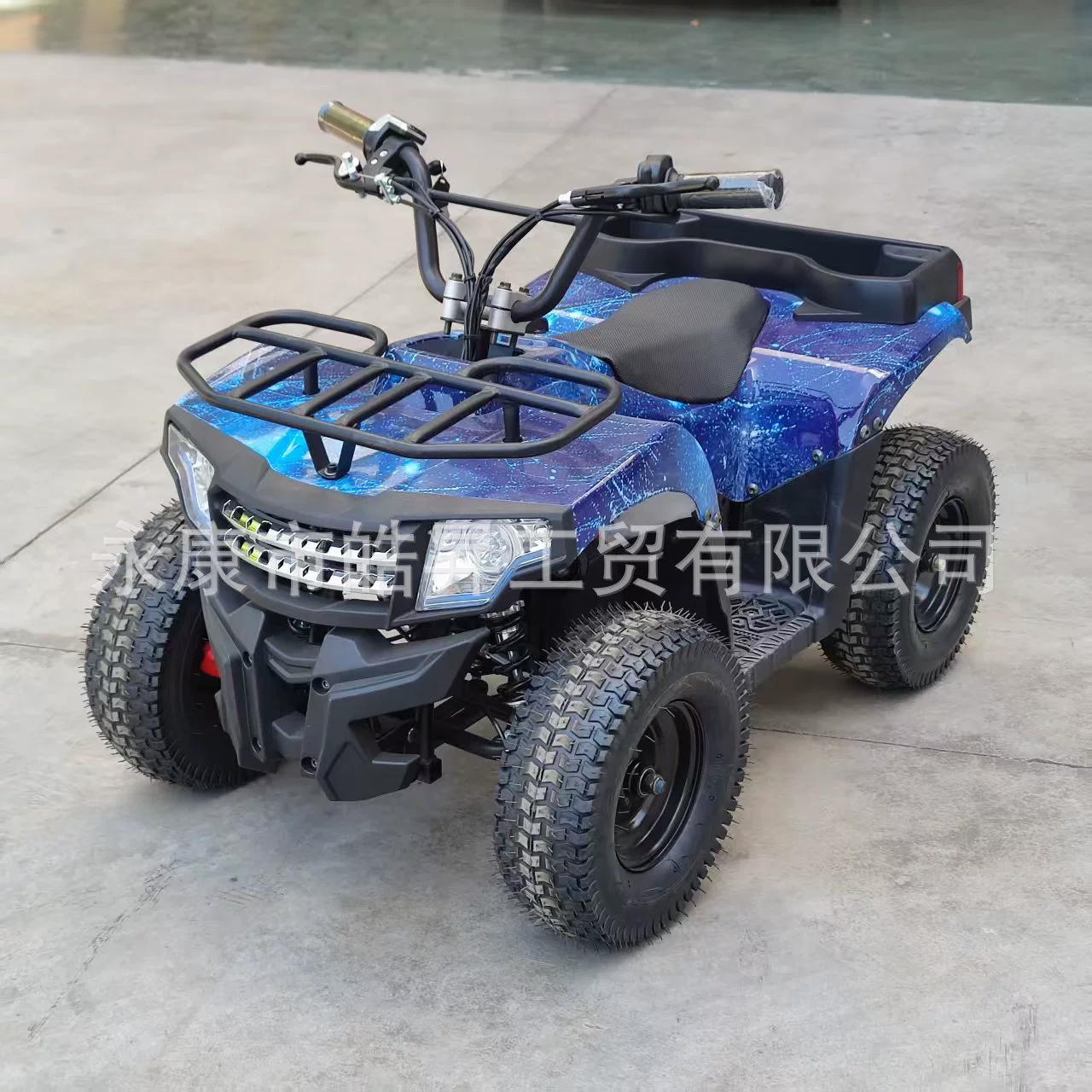 Электрический пляжный внедорожник SUV, 36V, 800W