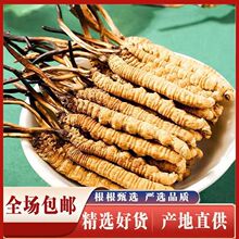 ��ƷҰ���x�ݶ��x�Ĳݲ؅^�x�ݸߺ����x�ݷǔ�����ض��x�ĲݶY��