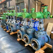 DN65߉TlyZ923Y-700C_P{ŷly