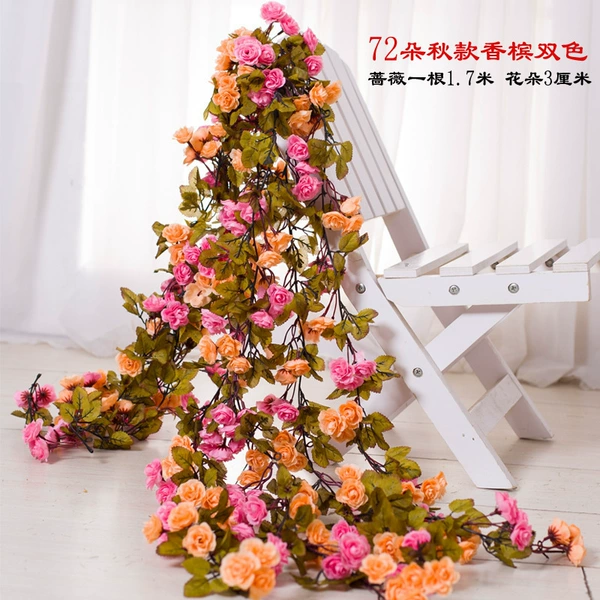 72 autumn champagne two-color 1.7m✦♜