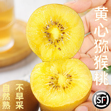 四川黄心猕猴桃奇异果新鲜应当季新鲜水果孕妇现摘整箱弥猴桃包邮