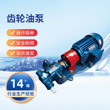 ·��KCB-633�X݆ʽݔ�ͱ�2CY-38/0.28�X݆�ͱ� KCBϵ���X݆��