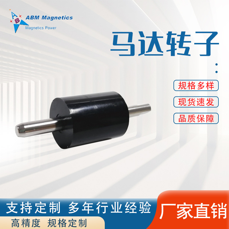 厂家供应油泵转子四极充磁永磁马达转子注塑包胶磁转子可定 制