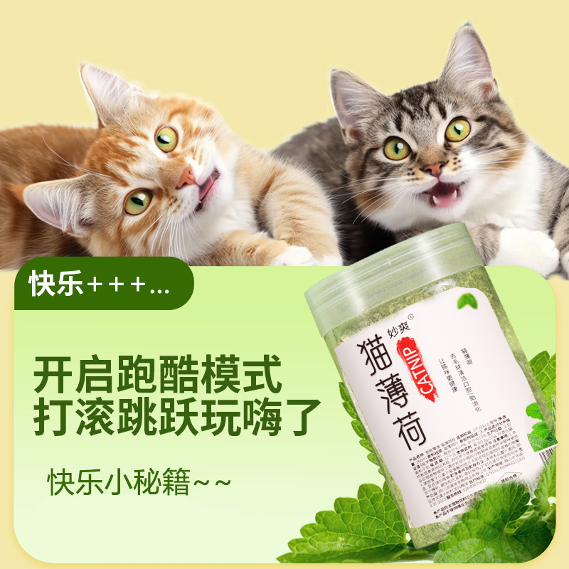 Cat mint comestible 260ml polvo fino de plantas se puede rellenar juguetes para gatos aperitivos para gatos