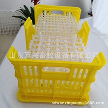 36枚种蛋筐 塑料鸡蛋筐 多规格塑料蛋筐 塑料周转筐批发万兴畜牧