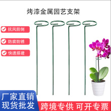 �羳�M�bֲ��ܻ��@����֧�Θ��@ˇ������������ֲ���ͥԺ�廨�U