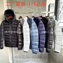 ������޷� 2227 �ᱡ�����Ů����Goose Crofton down jacket