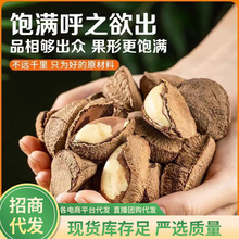 新货鲍鱼果100g原味新疆沙漠果坚果办公休闲零食年货孕妇小孩零食