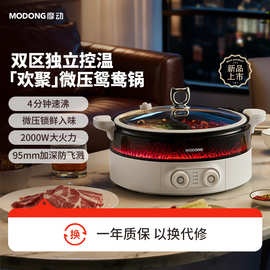 【行业首创】摩动欢聚鸳鸯锅一体式电火锅电锅家用多功能电煮锅
