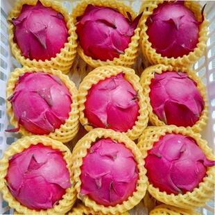 �����lһ������t���ی����lˮ�����rҎ��һ̖�羳�𶼻��������