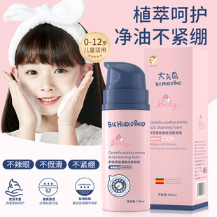 Big-Headed Bird Centella Asiatica Amino Acid Cleansing Bubble Cleanser Refreshing Cleansing Non-Tightening Foam Manufacturer Wholesale