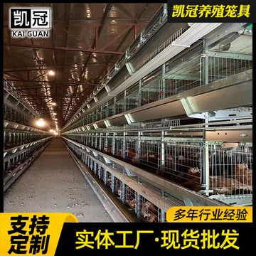 框架蛋鸡笼养殖场层叠式鸡笼子H型鸡笼工业自动化养鸡设备厂家-阿里巴巴