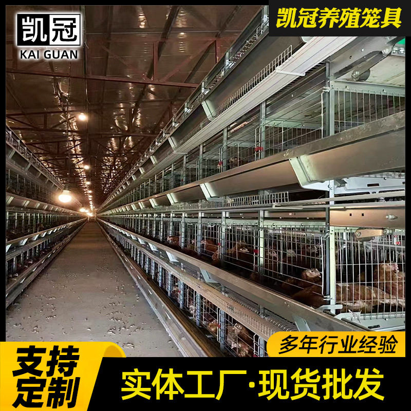 框架蛋鸡笼养殖场层叠式鸡笼子H型鸡笼工业自动化养鸡设备厂家