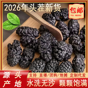 �Ĵ���֦��ɣ��Դ�^؛Դ��ɣ驸ɵؔ���ϴɣ����ˮɣ�ظɴ��l���l