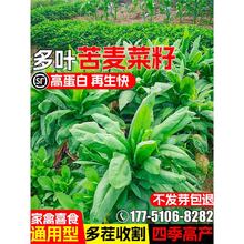 �����˷N���ļ��߮a���ݷN�Ѽ���ϲʳ����ո�ߵ��������Bֳ����