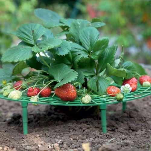 Strawberry stand, home planting tray rack, anti-lodging plant fruit support, gardening supplies support rack, dropshipping