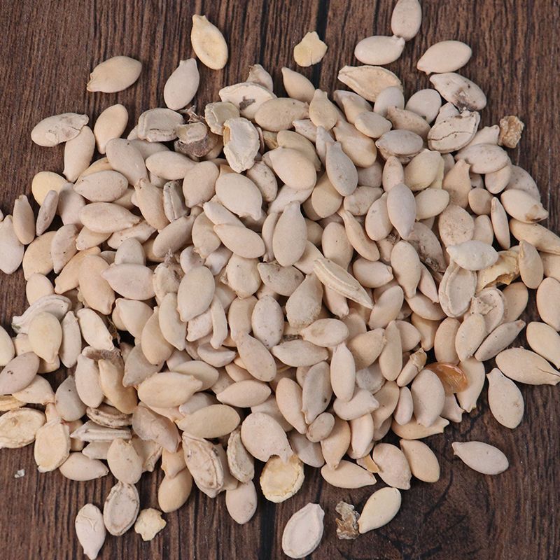Winter Melon Seed Dong Gua Zi 500g Dried Benincasa Seeds for Decoction and Herbal Tea in use
