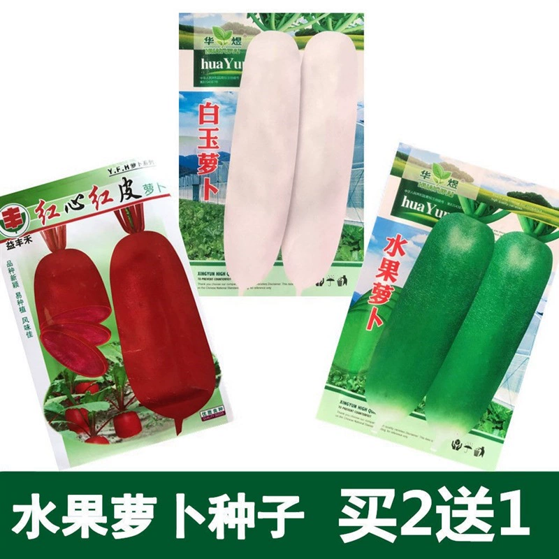 Комбинация Семян Редис Фрукты Редька Семян Красная Кожица Красное Сердце Зеленая Кожа Зеленое Сердце Песчаное Гнездо Семена Белая Редис